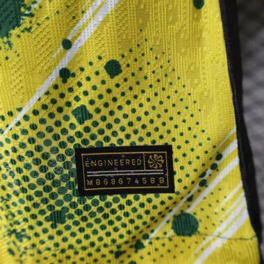 24-25 Brazil yellow and green special player version jersey