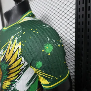 24-25 Brazil yellow and green special player version jersey