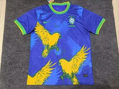 25-26 Brazil blue special jersey