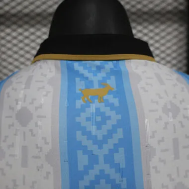 24-25 Argentina Special Player version jersey
