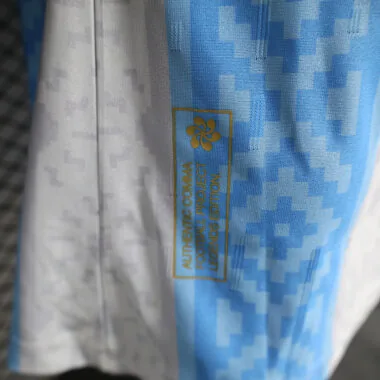 24-25 Argentina Special Player version jersey