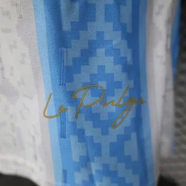 24-25 Argentina Special Player version jersey