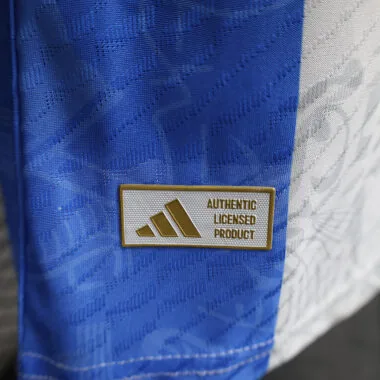 24-25 Argentina Special player version jersey