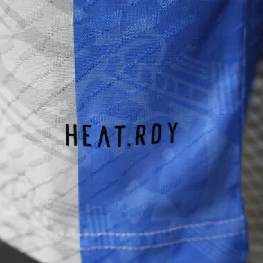 24-25 Argentina Special player version jersey