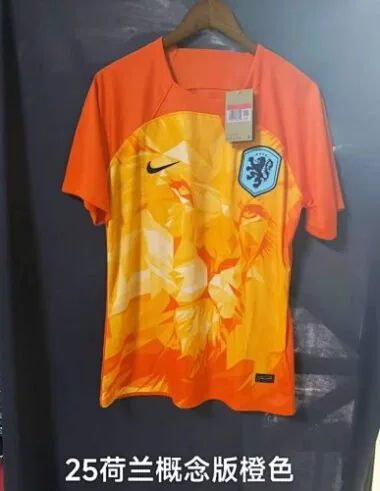 24-25 Netherlands Orange training suit