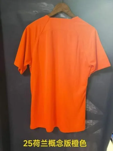 24-25 Netherlands Orange training suit