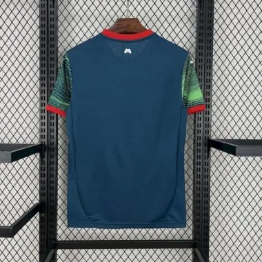 25-26 Portugal green and blue special jersey