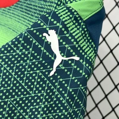 25-26 Portugal green and blue special jersey