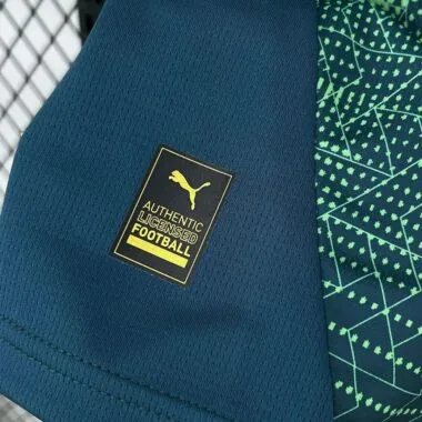 25-26 Portugal green and blue special jersey