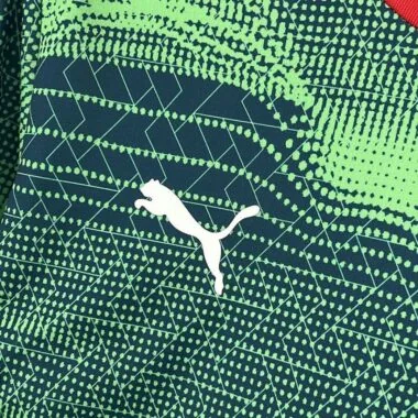 25-26 Portugal green and blue special jersey