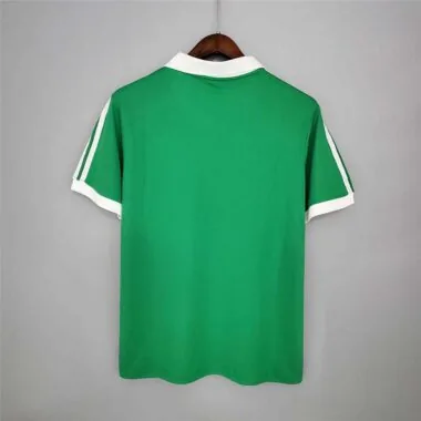 1986 Mexico home