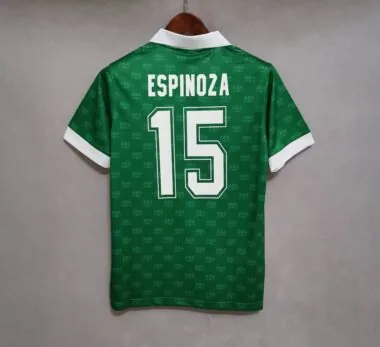 1995 Mexico home