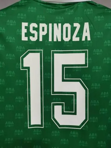1995 Mexico home