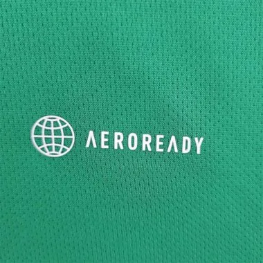 2022 Mexico home