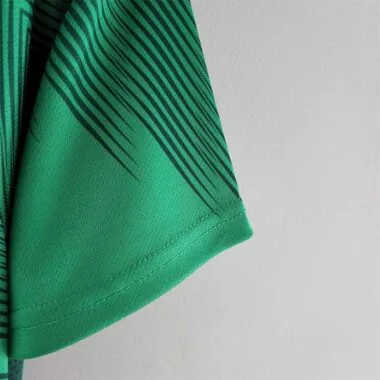2022 Mexico home