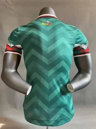 24-25 Mexico green dragon player version jersey