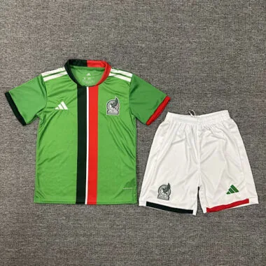 25-26 Mexico home kid kit