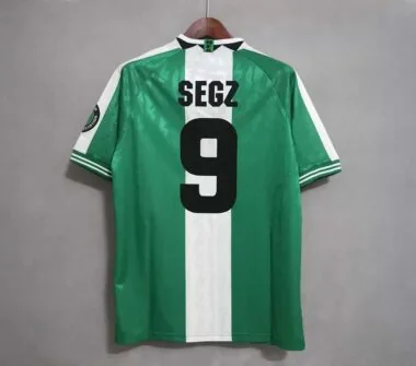 1996 Nigeria home