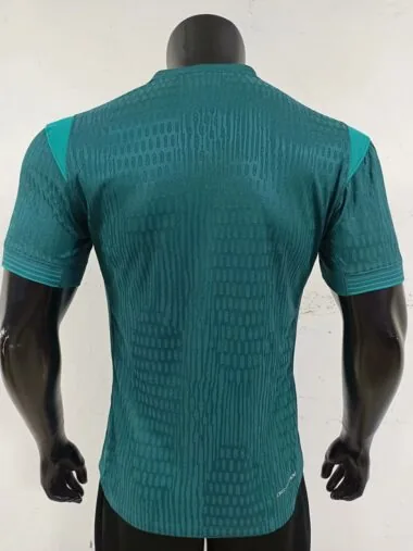 25-26 Nigeria away player version jersey