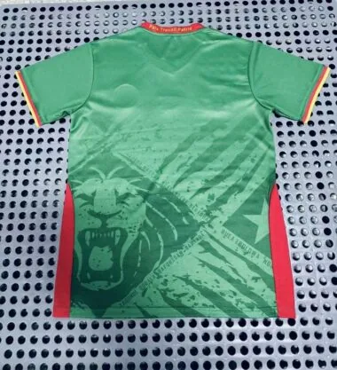 25-26 Cameroon green jersey