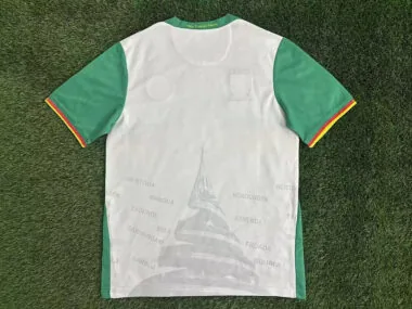 25-26 Cameroon third away jersey