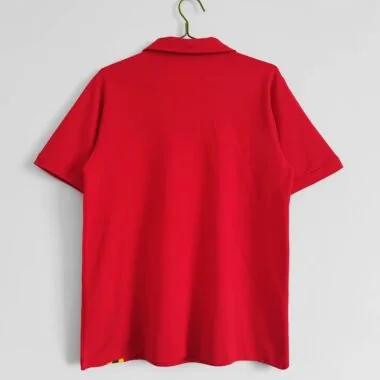 1976/79 Wales home