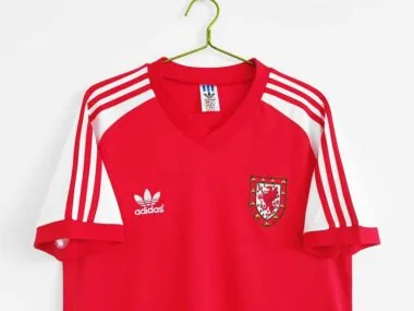 1982 Wales home