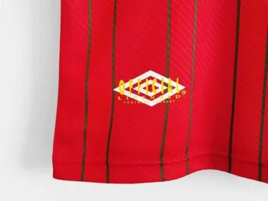 1994/96 Wales home