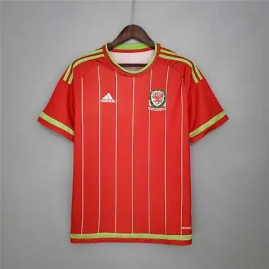 2015/16 Wales home