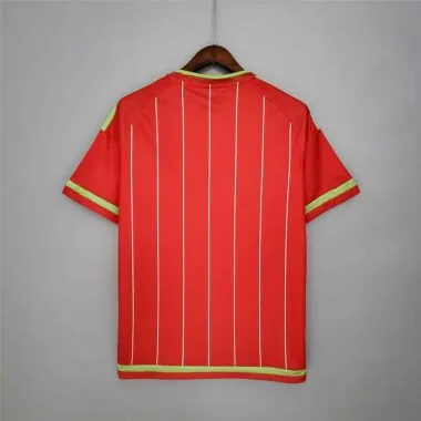 2015/16 Wales home