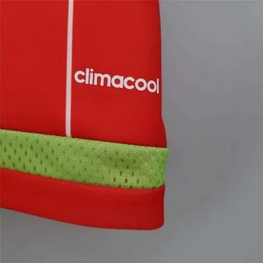 2015/16 Wales home