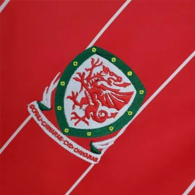 2015/16 Wales home