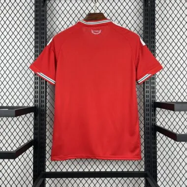 Wales 2026 Home Jersey (S-4XL)