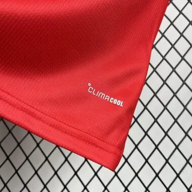 Wales 2026 Home Jersey (S-4XL)