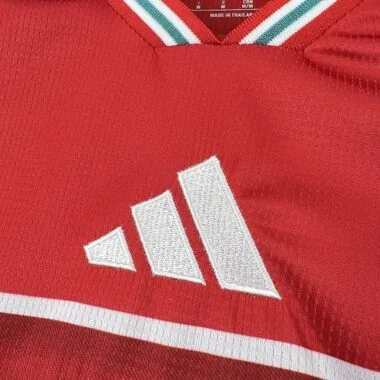 Wales 2026 Home Jersey (S-4XL)