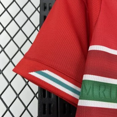Wales 2026 Home Jersey (S-4XL)