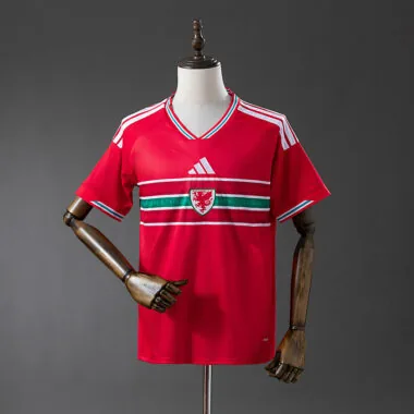 Wales 2026 Home Jersey (S-4XL)