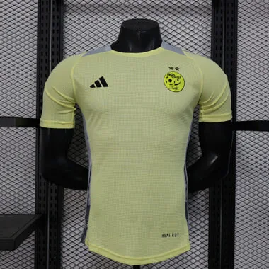 25-26 Algeria special version yellow soccer jersey size S-2XL