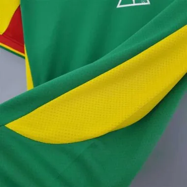 2002 Senegal green