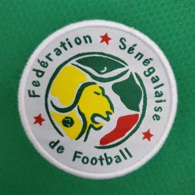2002 Senegal green