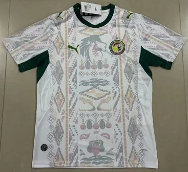 Senegal 2026 World Cup Home jersey