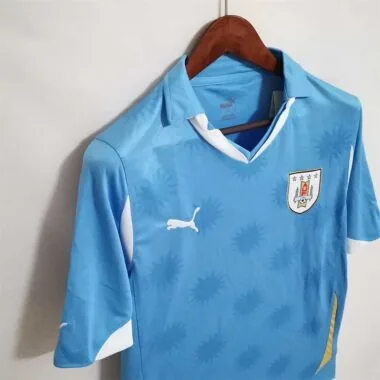 2010 Uruguay home