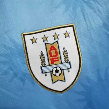 2010 Uruguay home