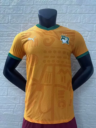 Camiseta de la selección de Costa de Marfil para partidos en casa, 24-25