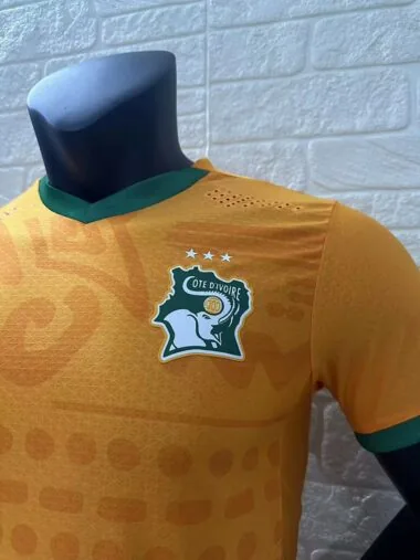 Camiseta de la selección de Costa de Marfil para partidos en casa, 24-25