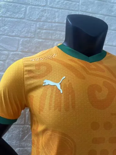 Camiseta de la selección de Costa de Marfil para partidos en casa, 24-25