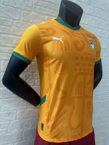 Camiseta de la selección de Costa de Marfil para partidos en casa, 24-25