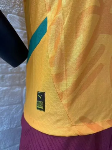 Camiseta de la selección de Costa de Marfil para partidos en casa, 24-25