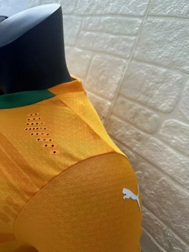 Camiseta de la selección de Costa de Marfil para partidos en casa, 24-25