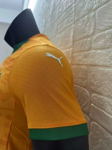 Camiseta de la selección de Costa de Marfil para partidos en casa, 24-25